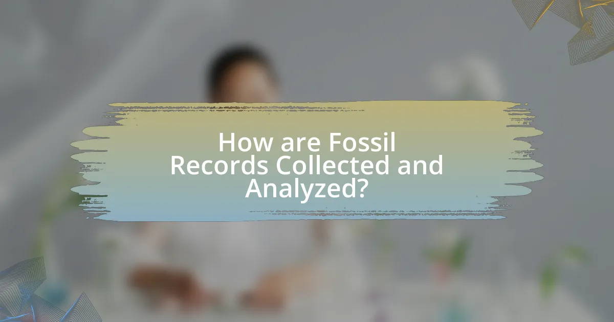 How are Fossil Records Collected and Analyzed?