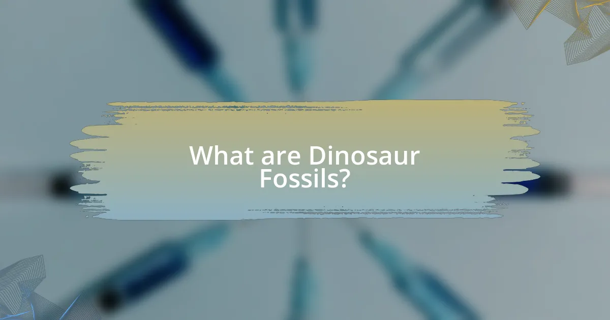 What are Dinosaur Fossils?