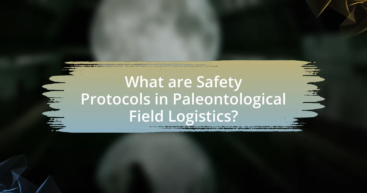 What are Safety Protocols in Paleontological Field Logistics?