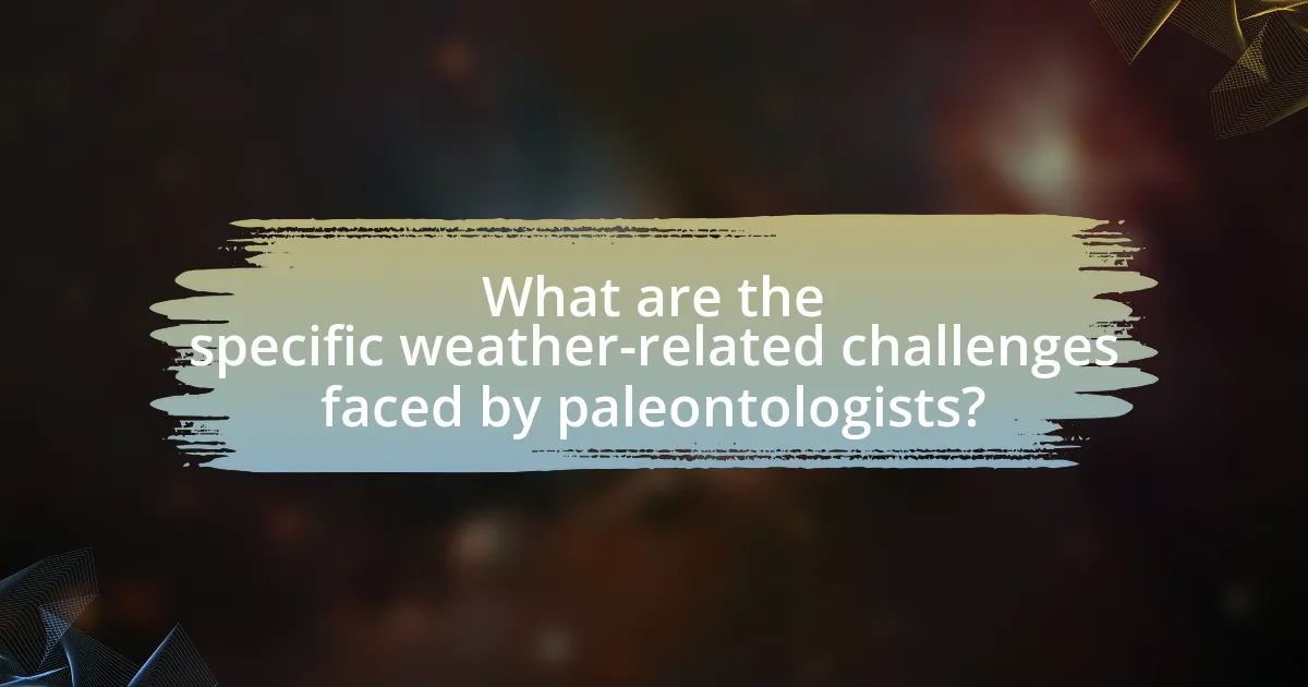What are the specific weather-related challenges faced by paleontologists?